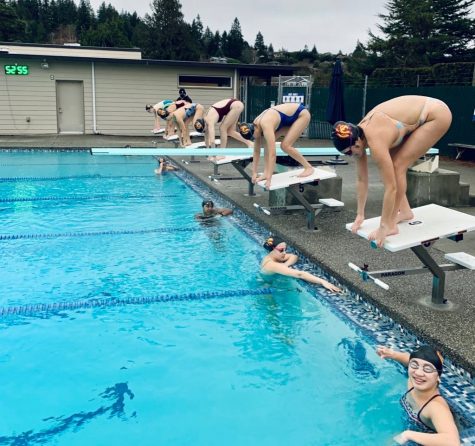 First swim and dive practice 1(Rohde)