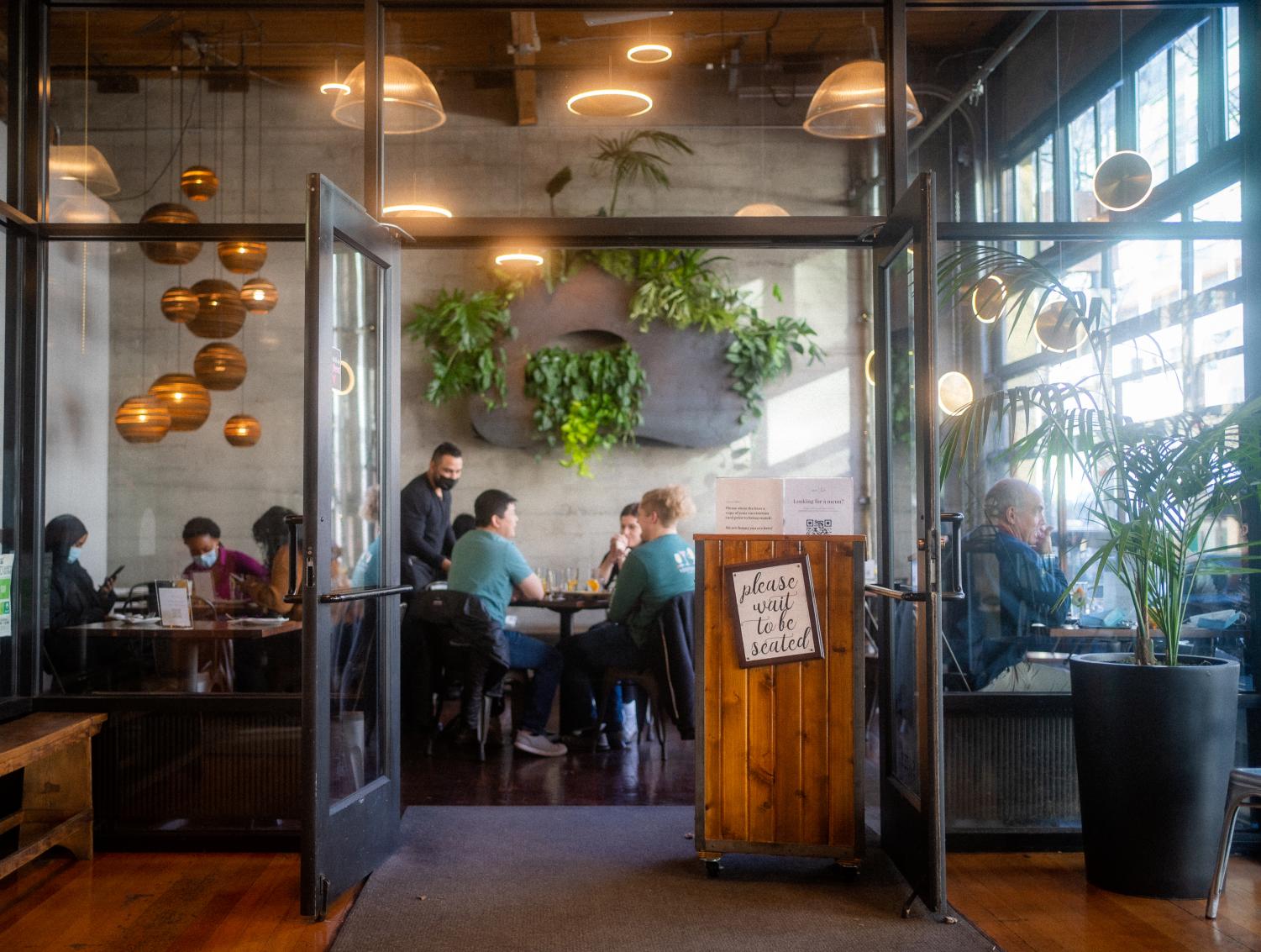 Vegan Restaurant Review Plum Bistro TATLER