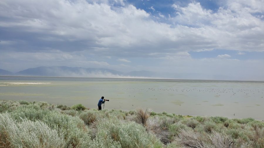 The Great Salt Lake is Dying. 10 Million Birds and 2+ Million People Could Follow