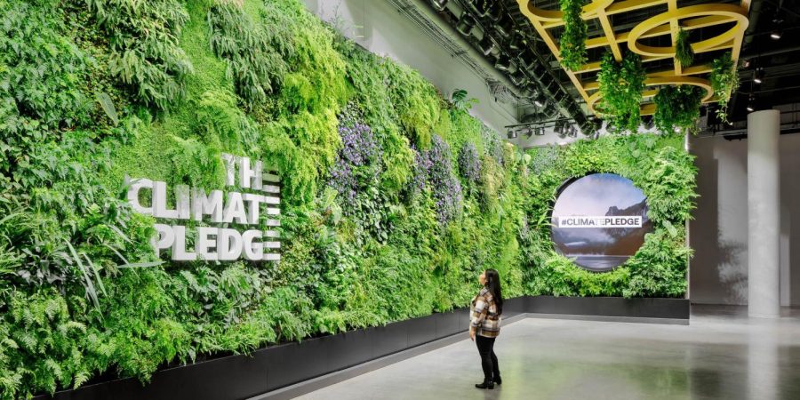 Funded and implemented by Amazon, the living wall at Climate Pledge was designed to highlight the beauty Washingtons flora has to offer. (Habitat Horticulture)
