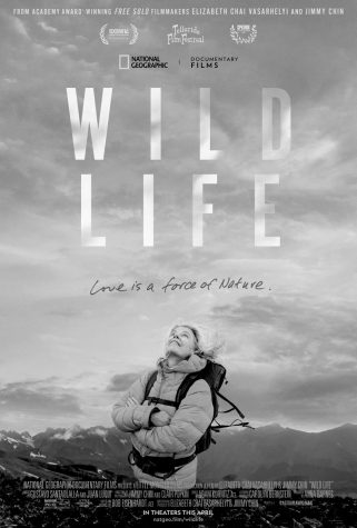 Navigation to Story: Wild Life Epitomizes the Risks of the Single Narrative