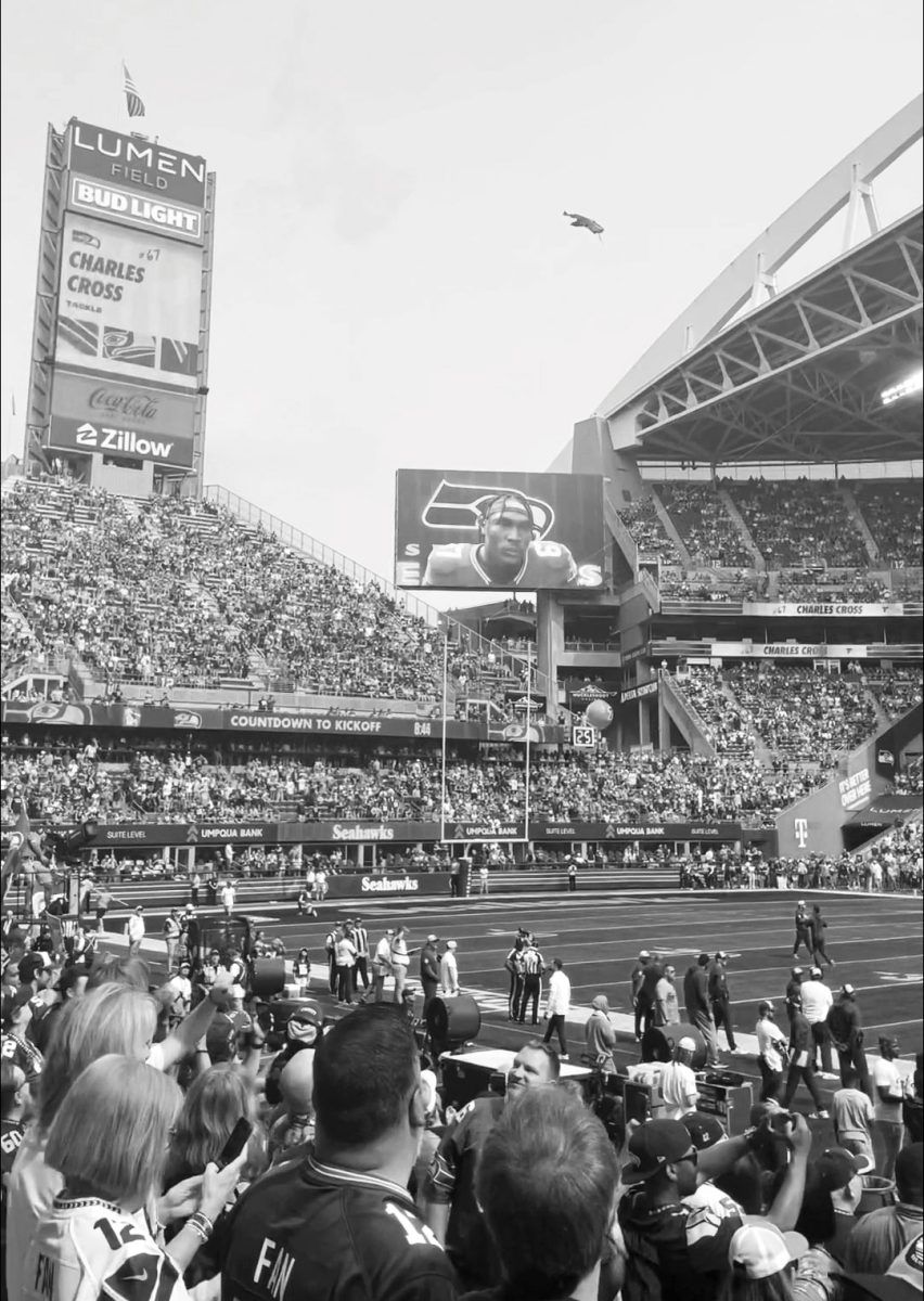 Polar Bears at the Seahawks Game