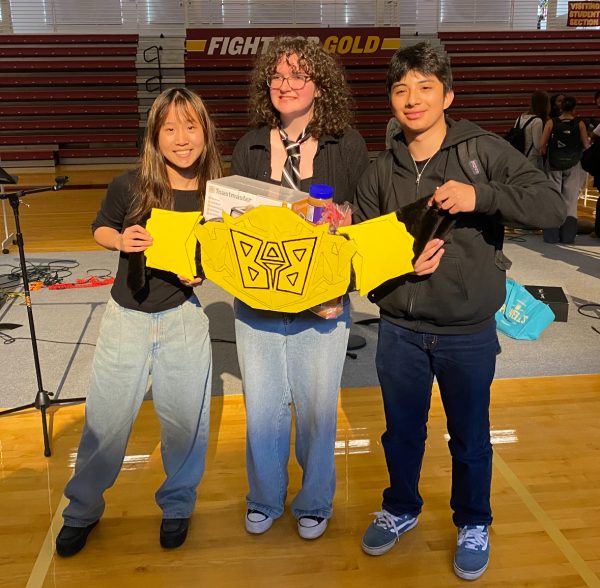 Navigation to Story: Formed on a Whim, Fueled by Passion: An Interview with Battle of the Bands Winners Sophie and the Wicks