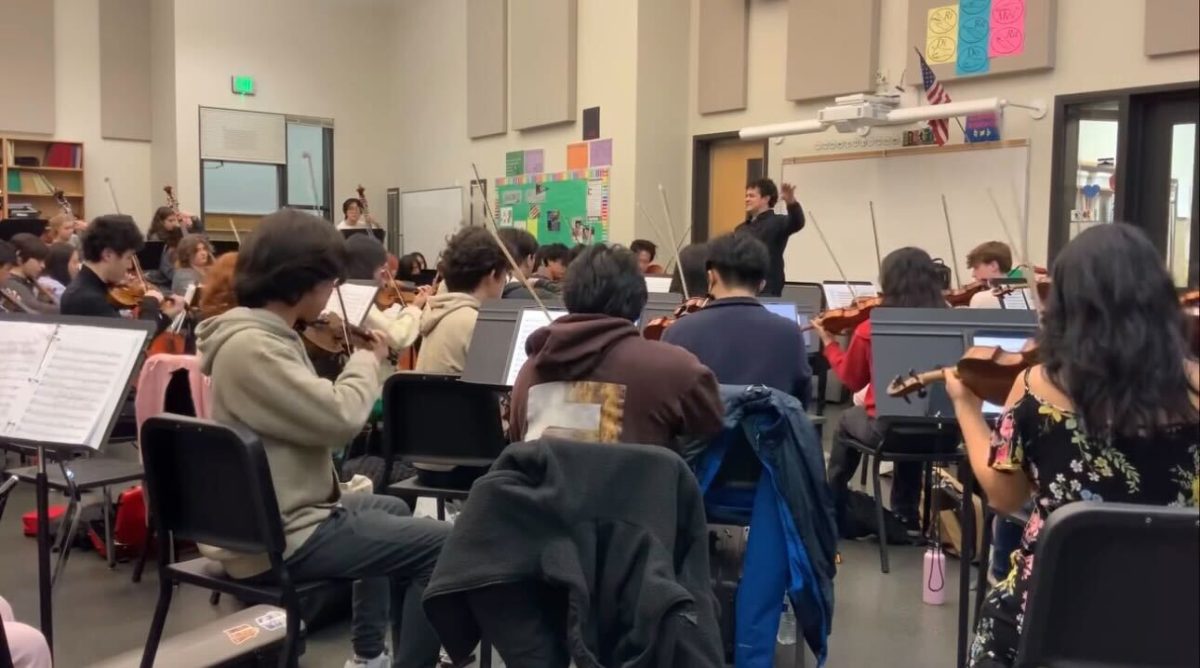 Creative Lions: Lakesiders on Participating in the Scholastic Awards